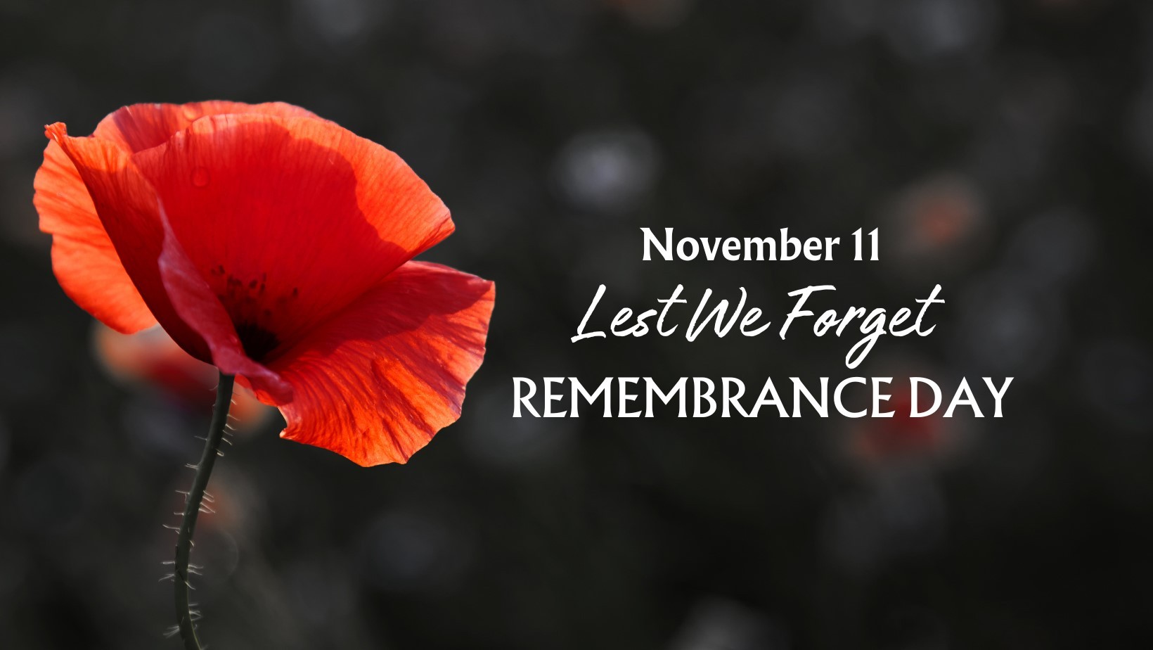 Remembrance Day