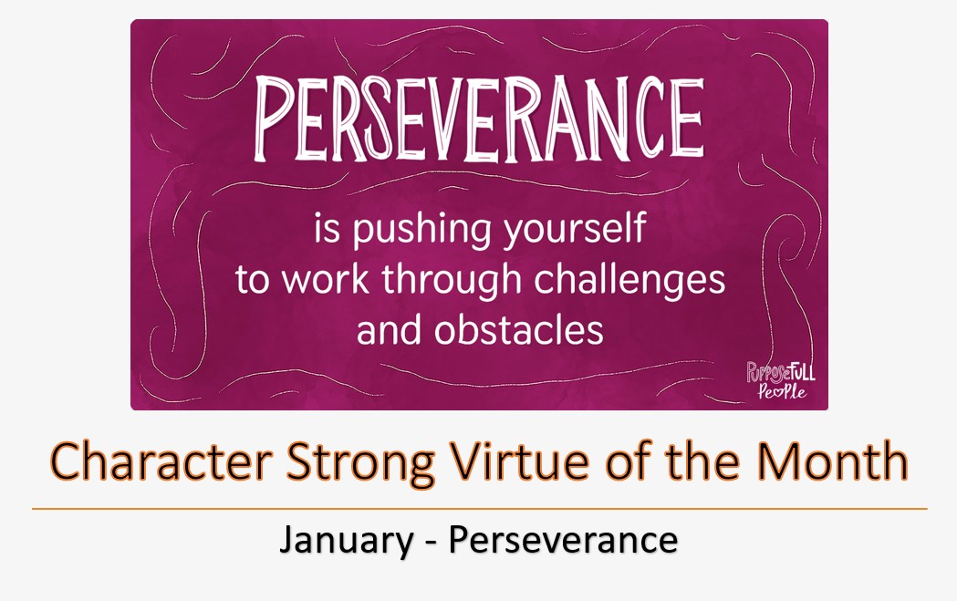Perseverance